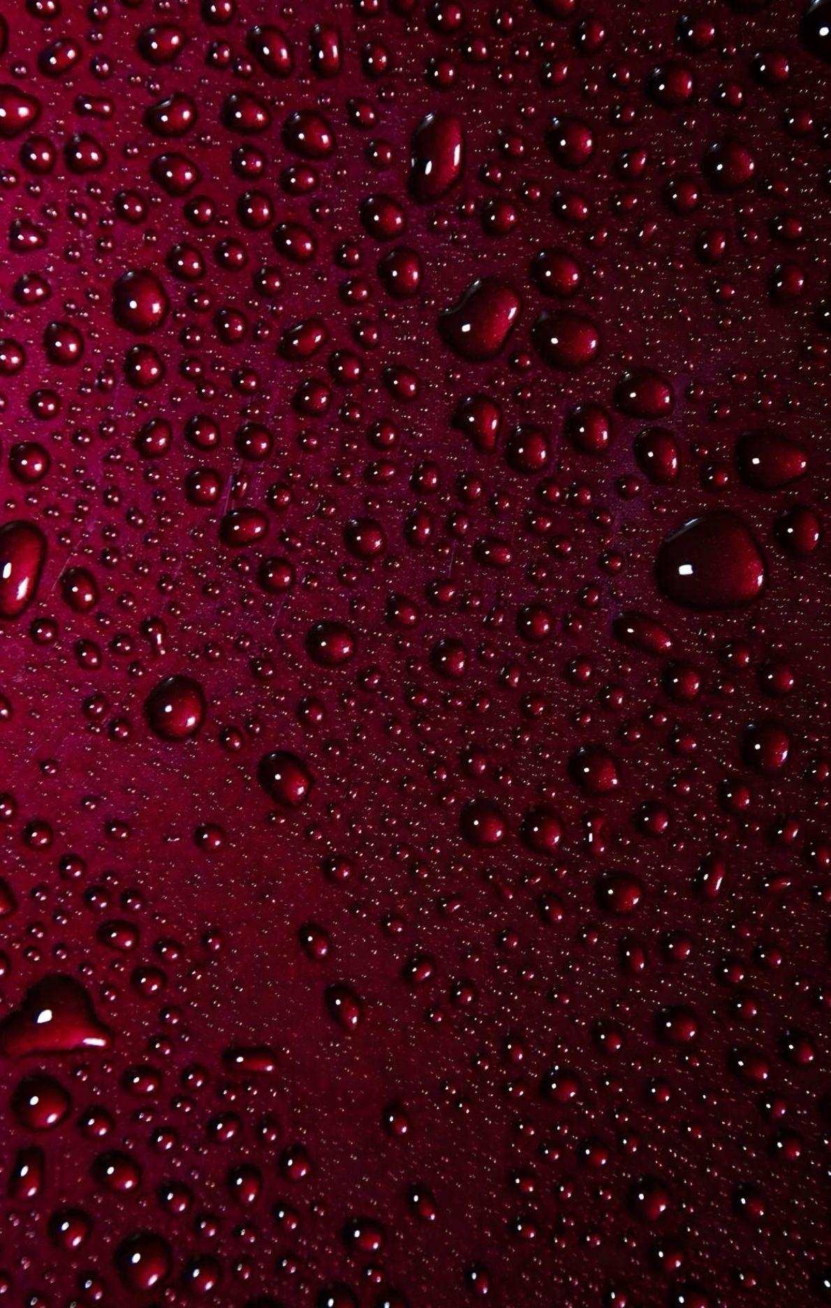 L&#39;huile nourrissante GOLDEN HOUR.